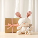 【PT10倍+10%OFFクーポン】おもちゃ ラトル うさぎ ベル入れ 2個セット 脳力開発 ぬいぐるみ 動物 ガラガラ 木製 ブナの木 カギ針編み 手指舐め防止 幼児 赤ちゃん 新生児祝い 出産祝い ギフト ウサギ/象 父の日