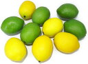 【PT10倍+10%OFFクーポン】食品サンプル 本物 そっくり レモン 果物 食品模型 食品サンプル 2色 10個セット フルーツ模型 ディスプレイ フェイク...