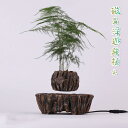 磁気浮上 植木鉢 おしゃれ 浮遊植物ポット 屋内用 浮遊回転植木鉢 磁気フローティング植物ポット Floating Flowerpot フローティング フラワー...