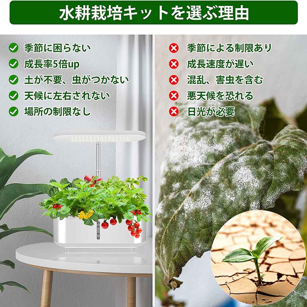 ＼マラソン期間 P10倍／水耕栽培キット 室内 すいこう栽培キット 室内 水耕栽培セ...