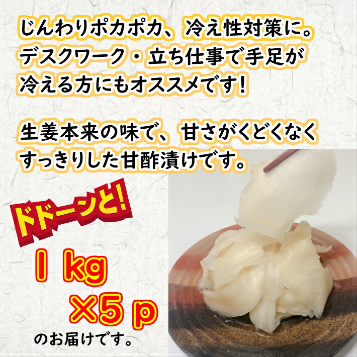 送料無料しょうが甘酢漬け 1kg×5p生姜 し...の紹介画像2