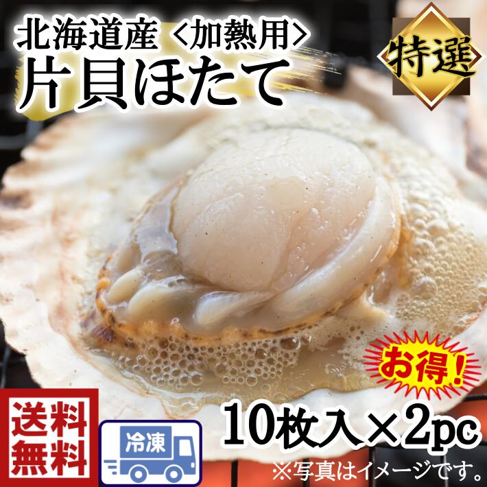 送料無料　s1　高級！　絶品！北海道産　帆立 　10枚×2pハーフシェル　片貝帆立　ほたて　ホタテ　貝柱　カイバシラ　生　お造り　バター　kaibashira　 バター焼き フライ　 天ぷら　BBQ　塩焼き　酒蒸し