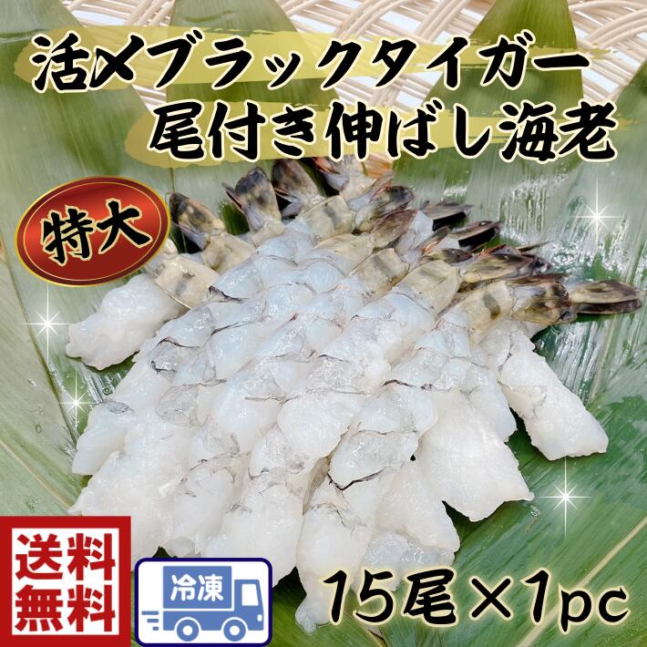 フライ用海老　15尾　下処理不要送料無料プリプリ　鮮度抜群！活〆ブラックタイガー　尾付伸ばし海老　13/15(15尾）エビ　海老　天ぷら　エビフライ　海老天　えび天　エビ天　のばし海老　のばしエビ　特大　処理済み　時短食材　簡単調理