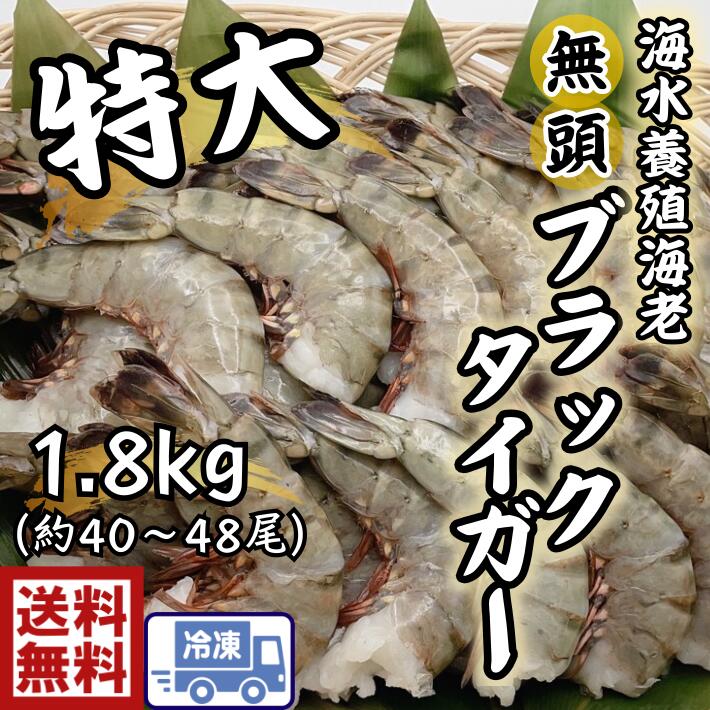 ʤ㤨ò̵硡̵ƬϷ ֥å8/121.8kg4048硡礭ϷӡӡBBQʸספꡡƤBBQѤᡡӥե饤ӥꡡӥޥ衡ʤʥ⤢ޤˡפβǤʤ7,800ߤˤʤޤ