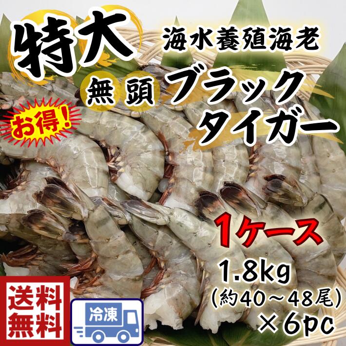 ʤ㤨֥䡡ò硡̵ƬBTϷ ֥å8/1210.8kg1.8K6?240288礭ʳϷӡӡBBQ桡פꡡƤС٥塼ѤᡡƤӥե饤ӥꡡŷפβǤʤ42,000ߤˤʤޤ