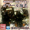 送料無料最安値に挑戦!ピチピチ 活けオマールカナダ産1尾約500g前後 2尾入オマール海老 ロブスター 海老 えび 大きい 造り 刺身 寿司 天ぷら エビフライ ホームパーティー BBQ 海鮮焼 記念日 お祝い 誕生日