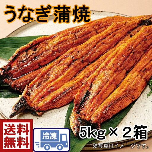 お買い得!鰻 30尾送料無料炭火焼うなぎ蒲焼 10キロ(30匹入り)中国産 うなぎ ウナギ 鰻 蒲焼お得!鰻 うなぎ ウナギ 蒲焼 かばやき 甘たれ 土用の丑 うな重 鰻丼 夏バテ予防 ふっくら柔らかい 中国産鰻 お買い得!鰻 30尾送料無料炭火焼うなぎ蒲焼 10キロ(30匹入り)中国産 うなぎ ウナギ 鰻 蒲焼お得!鰻 うなぎ ウナギ 蒲焼 かばやき 甘たれ 土用の丑 うな重 鰻丼 夏バテ予防 ふっくら柔らかい 中国産鰻