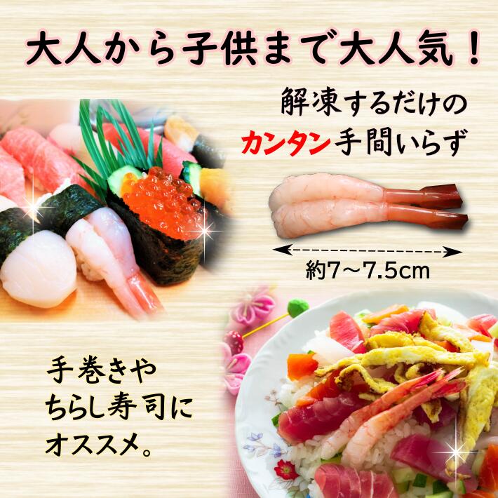 寿司海老　お寿司　手巻きの具尾付き甘えび　50尾入×5P　合計250尾えび　エビ　海老　甘海老　あまえび　アマエビ　寿し　寿司　鮓　すし　sushi 寿司ネタ　ねた 具　手巻き　巻きずし　ちらし　shrimp　シュリンプ　天ぷら　お造り　刺身 fixseafoods-10000191 食楽専科 サンプル画像3