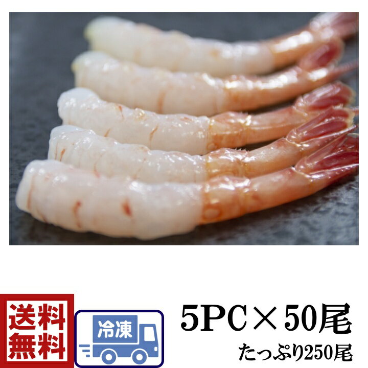 @s1tÂс@50~5P@v250с@Gr@CV@ÊCV@܂с@A}Gr@@i@鶁@@sushi il^@˂ @芪@@炵@shrimp@Vv@ ߕ