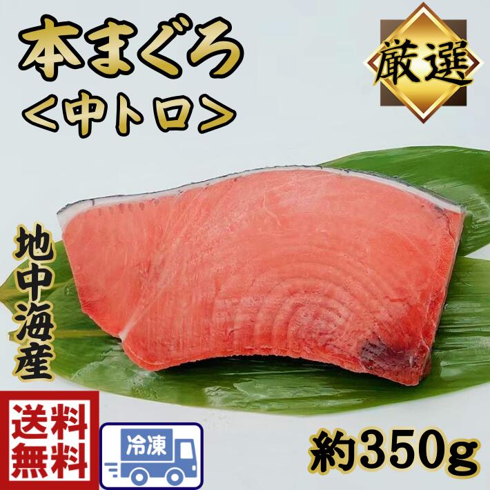 送料無料　特選本まぐろ　中トロ　約350g刺身　造り　トロ　とろ　中とろ　本マグロ　鮪　まぐろ　うまい　美味しい　絶品