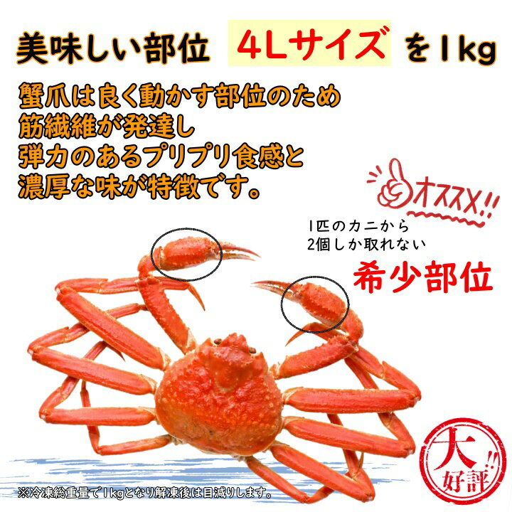 【送料無料】2本爪ポーションボイル本ズワイ蟹　4L1P　1kg美味しい部分のみのお届けズワイガニ　ずわいがに　蟹　かに　カニ　お正月　お祝い　鍋　おいしい　美味しい　お得　プレゼント　ホームパーティー　鍋　簡単　お手軽