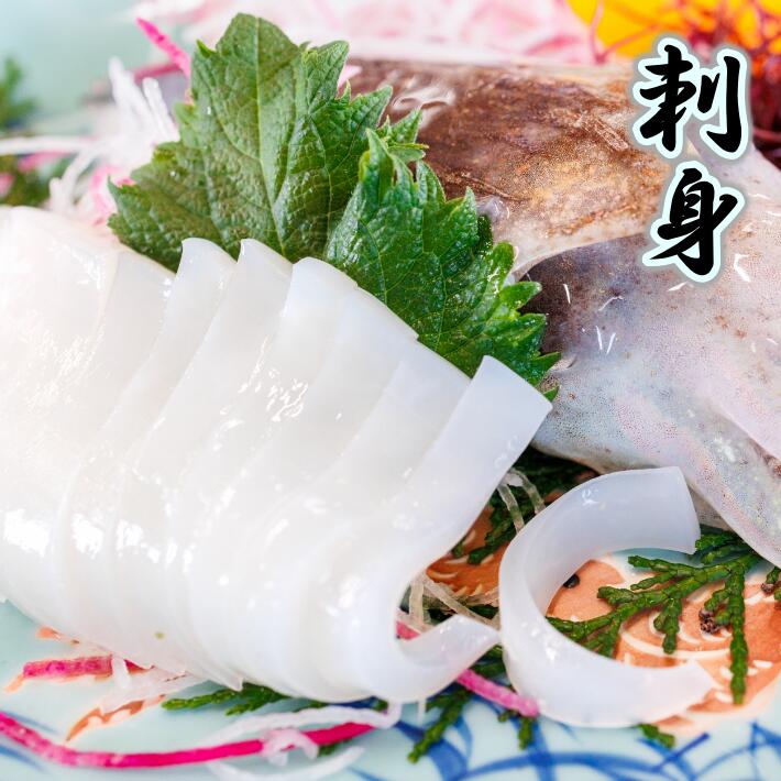 高級　新鮮　刺身用いか紋甲いかスキンレスお刺し身　生食用もんごういか（スキン...