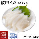 高級 新鮮 刺身用いか紋甲いかスキンレスお刺し身 生食用もんごういか(スキンレス)5kg東南アジア産イカ 烏賊 生食 お造り モンゴウイカ いかそうめん スキン...