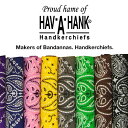 HAV-A-HANKハブアハンク バンダナ ペイズリー 100%コットン MADE IN USA　送料無料(8点までクリックポスト/9点から佐川急便)