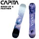 CAPITA Ls^ Xm[{[h  BIRDS OF A FEATHER 23-24 f fB[X