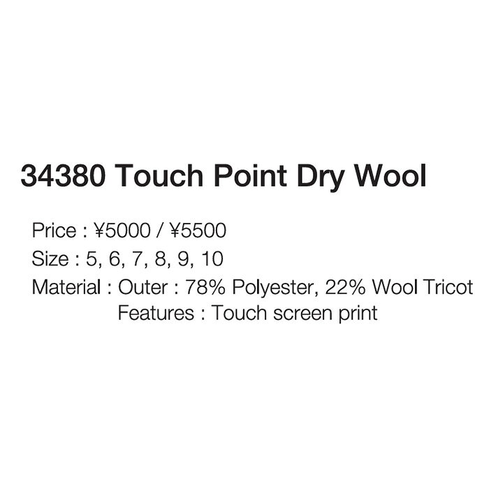 F.JANCK 楽天市場店の【34380】HESTRA ヘストラ グローブ Touch Point Dry Wool 25-26 モデル｜アングル3
