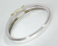 �ץ���� ������� �֥롼�ࡼ�󥹥ȡ��� ��� Pt900 18k K18 �ڥץ쥼��� ���եȡ� ��