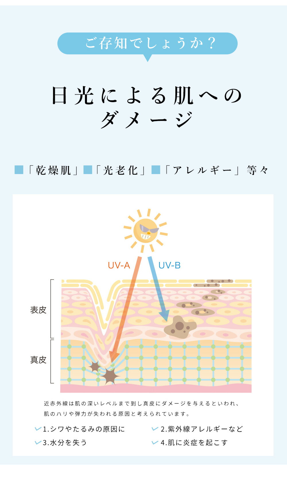 【1点あたり840円～】最大40%OFFクーポ...の紹介画像3
