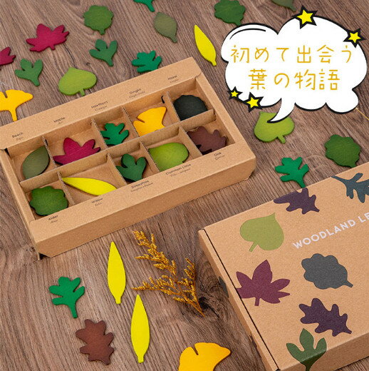 木のおもちゃ 知育玩具 積み 色認識 植物認識植物2歳 3歳 4歳 5歳 6歳 誕生日ギフト 出産祝い 木製 葉 木の葉 カラフル 植物 認識 モンテッソーリ おもちゃ 型はめ 子供 ブロック パズル 木製 知育 オモチャ 玩具 室内 遊び キッズ 誕生日プレゼント 木製パズル