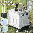 ショッピングカート キャリーカート お買い物カート 台車 折り畳み式 軽量 ふた付き キャリーワゴン おすすめ レディース 女性 ブレーキ付き 2輪 4輪 8輪...