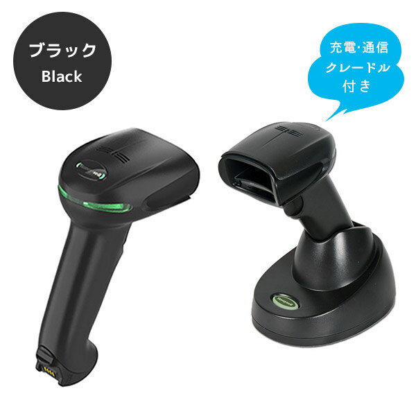 まとめ買い割引 Xenon XP 1952g ...の紹介画像3