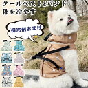 犬用 2点セット クールウェア クールネック クールバンド クールハーネス 保冷剤付き ペット 調節可 熱中症対策 ひ