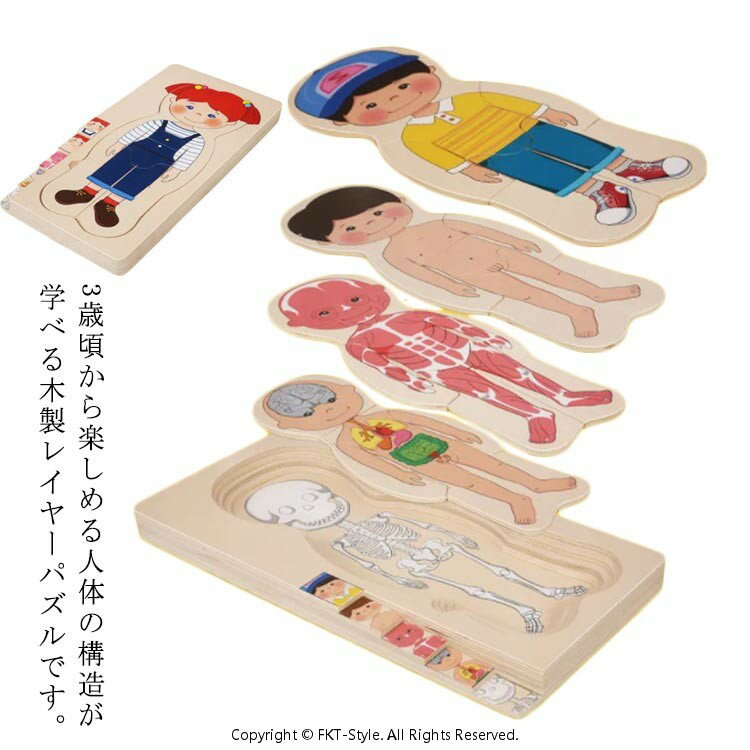 人体 男の子 構造 人体パズル 女の子 対象年齢3歳 学べる 木製レイヤーパズル 木のおもちゃ 知育玩具 ..