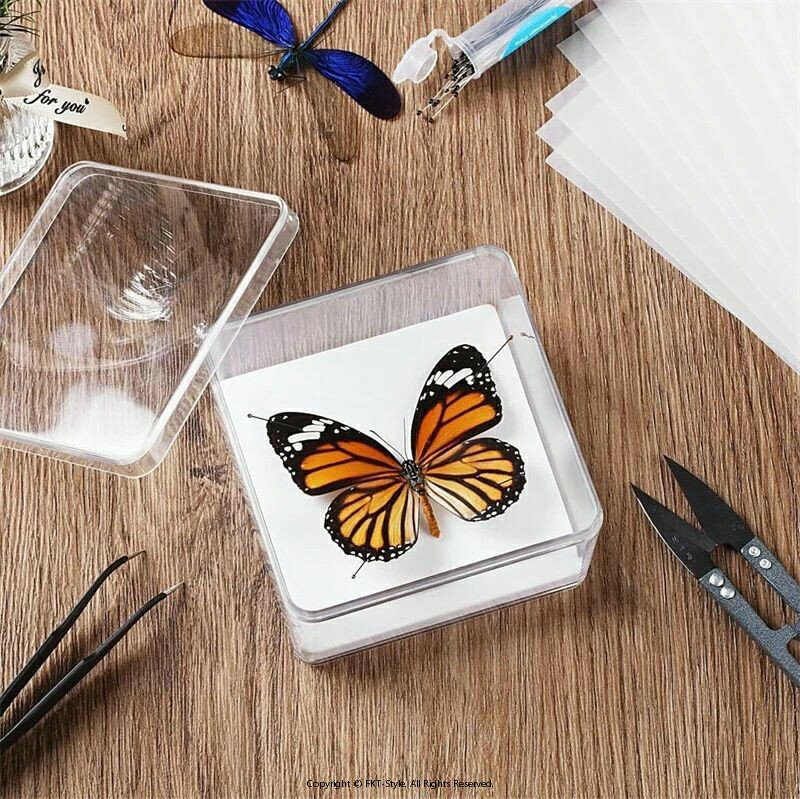 昆虫標本キット 昆虫検体キット 昆虫標本 蝶 蜻蛉 昆虫検体採取 昆虫標本箱 小型 昆虫標本ケース 生物..