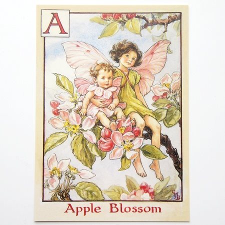 フラワーフェアリーズ ポストカード The Apple Blossom Fairies フラワーフェアリーズ ポストカード 花の妖精たち 絵葉書 リンゴの花の妖精