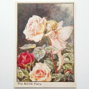 フラワーフェアリーズ ポストカード The Rose Fairy フラワーフェアリーズ ポストカード 花の妖精たち 絵葉書 薔薇の妖精