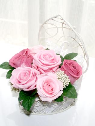 プランタンプリザーブドフラワーギフ...