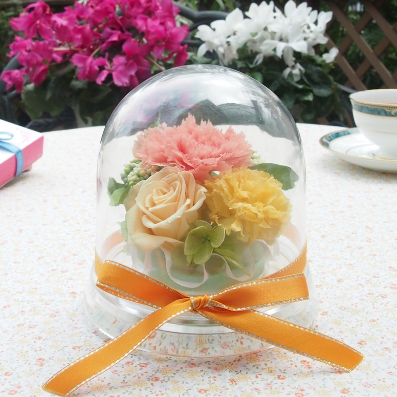 【送料無料】 プリザーブドフラワー ドーム ケース入り カーネーション バラ 薔薇 ブリザードフラワ