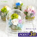 【P3倍★15時〆最短翌日配達】お供え 仏花 プリザーブドフラワー ドーム 花祈り お供え 花 お彼岸 お花 お悔やみ 贈り物 仏壇用 アレンジメント 一周忌 三回忌 四十九日 法事 お供え物 ブリザードフラワー ペット お供え花 ブリザーブドフラワー