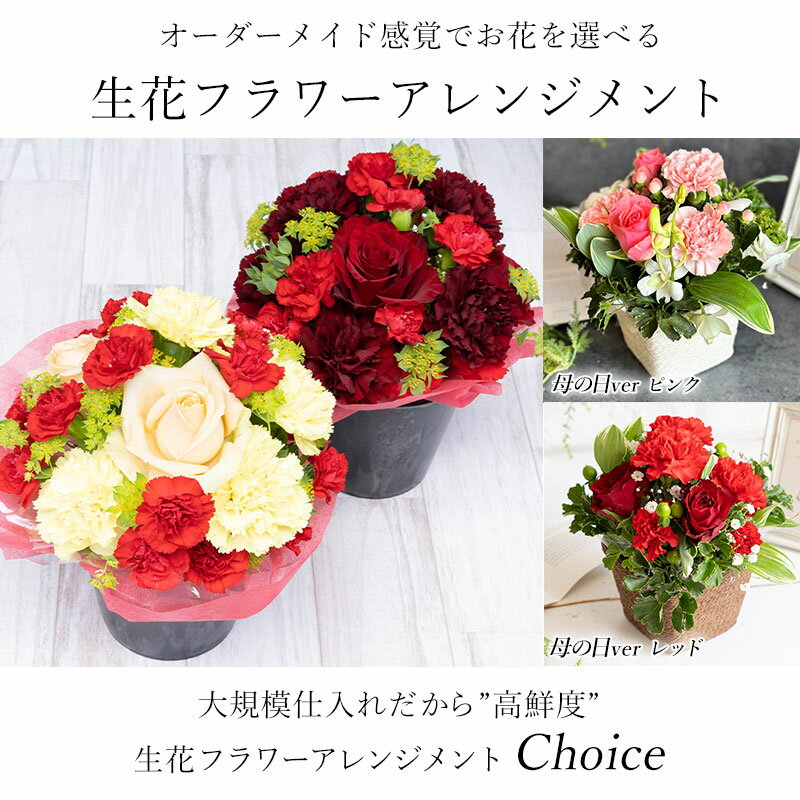 【あす楽】母の日 フラワーアレンジメント 選べる花色 Choice お祝い ははの日 花 カーネーション アレンジメント フラワー 生花 hahanohi フラワーギフト 誕生日 プレゼント 女性 母 祖母 バラ 薔薇 お花 結婚祝い 退職祝い おしゃれ お花 結婚記念日 妻 両親 還暦祝い