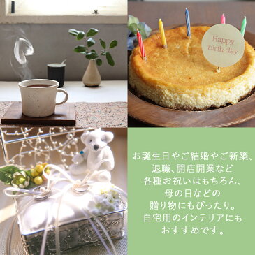 プリザーブドフラワー Coronal(コロナル) 壁掛け ケース入り 花 誕生日 プレゼント 女性 母 女友達 男性 父 定年 退職祝い 新築祝い 友人 おしゃれ ギフト お花 開業祝い 開店祝い 花 ブリザードフラワー バラ 結婚祝い お祝い 記念日 お礼 贈り物【あす楽&日時指定】