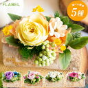 最短翌日配達15時 プリザーブドフラワー アレンジメント 白樺 枯れない 花 誕生日 プレゼント 女性 母 ママ友 友人 新築祝い 結婚祝い 送別会 退職祝い ...