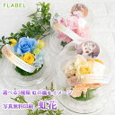 翌日配達15時 ペットのお供え 虹花 【写真対応無料】プリザーブドフラワー 仏花 ペット 供養 花 お悔やみ 贈り物 即日出荷 お供え ブリザードフラワー 虹の...