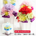 プリザーブドフラワー ピッコロカーネ ケース入り 枯れない 花 母の日ギフト カーネーション アレンジメント 母の日のプレゼント お花 お祝い 誕生日プレゼント...