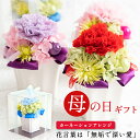 【まだ間に合う 母の日 当日指定OK】プリザーブドフラワー ピッコロカーネ ケース入り 枯れない 花 ギフト 母の日 カーネーション アレンジメント オシャレ ...