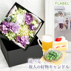 https://thumbnail.image.rakuten.co.jp/@0_mall/flabel/cabinet/item/9104/thum_n.jpg