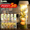 【15時までで最短翌日配達】プリザーブドフラワー ガラスドーム テラリウム MOON GARDEN 花 誕生日プレゼント 女性 母 親 祖母 還暦祝い 結婚祝い 退職祝い 開店祝い 新築祝い 贈り物 花 父の日 ブリザードフラワー ギフト バラ おしゃれ led お花 送料無料