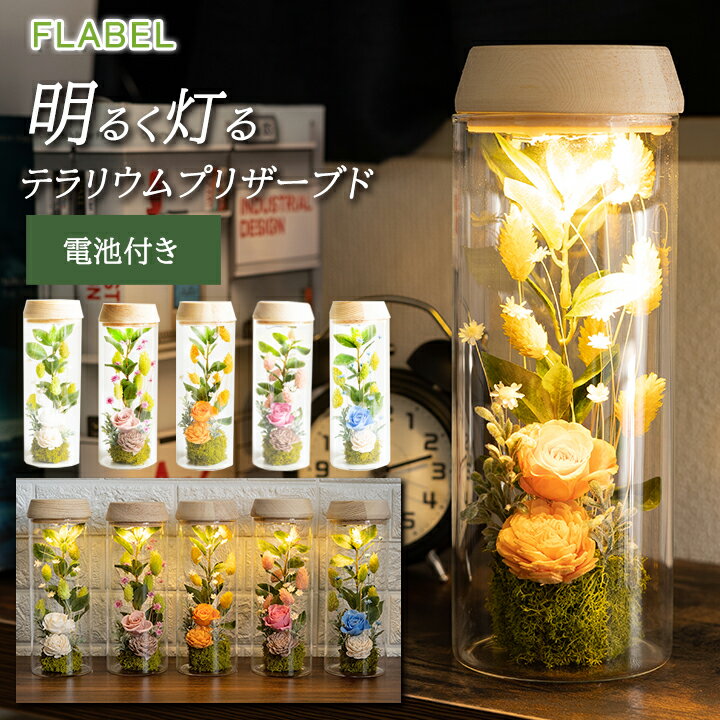 15時までのご注文で翌日お届け 母の日 灯る led プリザーブドフラワー MOON GARDEN ははの日 花 母の日プレゼント 誕生日 プレゼント 女性 母 義母 おしゃれ テラリウム お誕生日 お花 母の日ギフト ブリザードフラワー ギフト hahanohi 贈り物 送料無料【あす楽】