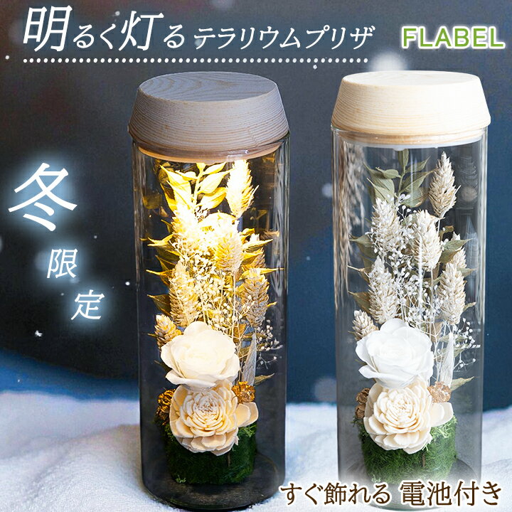 【全品半額】プリザーブドフラワー ガラスドーム テラリウム MOON GARDEN センスのいい 誕生日 プレゼ..