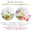 flabel:10000359のサンプル画像3