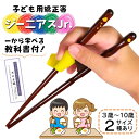 【3歳〜10歳まで】 矯正箸 子供 【子どものために考えられた本気のトレーニング箸】 FlaColle ジーニアスjr. 練習箸 子供用箸 こども しつけ箸 躾...
