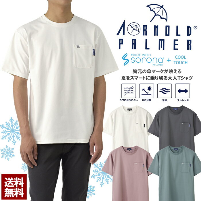 楽天市場】tシャツ アーノルドの通販