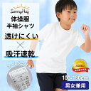 【新学期応援SALE★998円~!】 【家庭教育アドバイザー推奨】 体操服 半袖 学校標準 男女児兼用 透けにくい 乾きやすい 高耐久 綿高混 スクール 幼稚園...