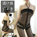 セクシー ボディ ストッキング ランジェリー ■ 勝負下着 ガーター スリップ Tバック 過激 キャミソール 穴あき エロ 大きいサイズ コスプレ タイツ 全身 網 オープン クロッチ 胸 シースルー スケスケ 透け 股割れ