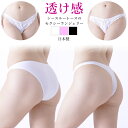 ショーツ ストレッチレース レディース ラポーム La-Pomme ラ・ポーム セクシー ランジェリー 勝負下着 過激 プレイスーツ ルームウェア ハロウィン コスプレ sexy 日本製 Tバック フルバック 全3色 M 322062 322063(4)