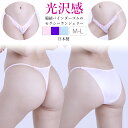 ショーツ ストレッチレース 脇細 レディース ラポーム La-Pomme ラ・ポーム セクシー ランジェリー 勝負下着 過激 プレイスーツ ルームウェア ハロウィン コスプレ sexy 日本製 Tバック ハーフバック 全3色 M L 322069 322070